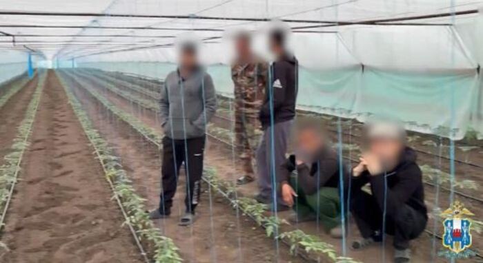 Иллюстрация: Пресс-служба МВД