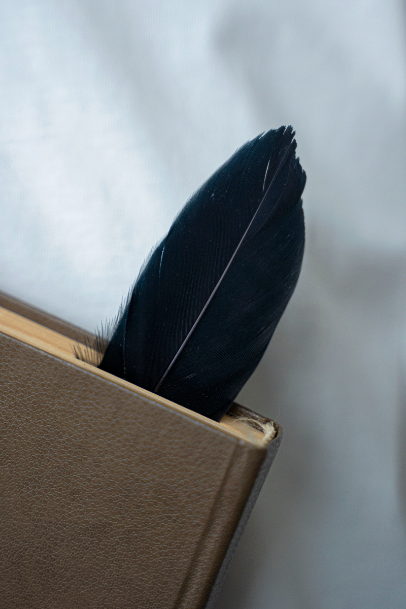 Изображение от freepik</a>