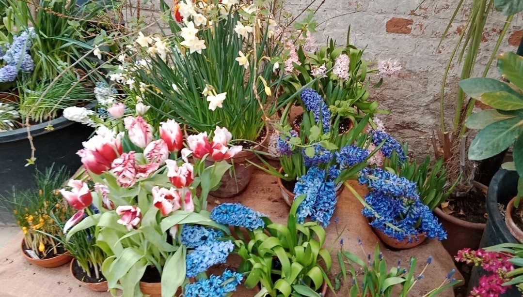 Фото автора.