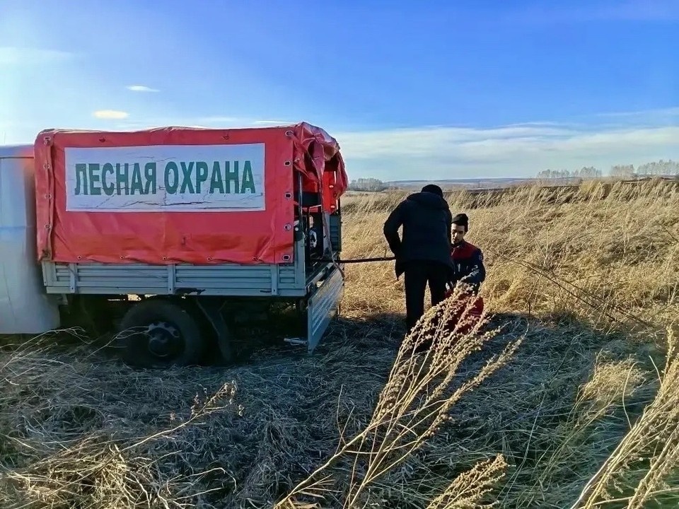   Огонь губит гнезда птиц и угрожает жилым дома Фото: минприроды Самарской области