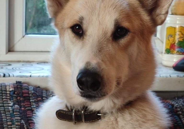 Байкал никуда не уходил из парка