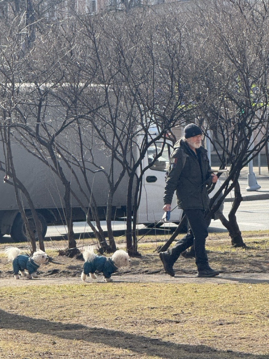 Милая петербургская мартовская сценка. Фото автора.