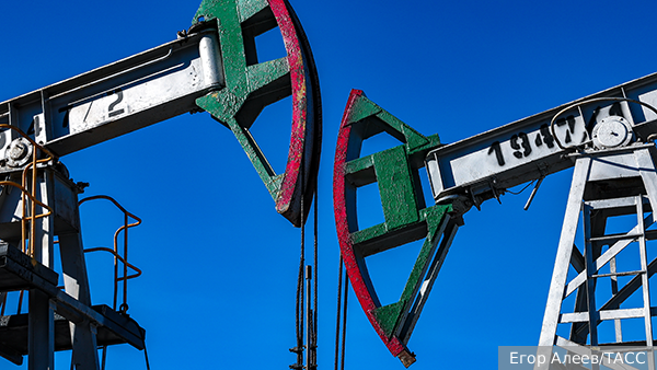     Фото: Егор Алеев/ТАСС   
 Текст: Вера Басилая