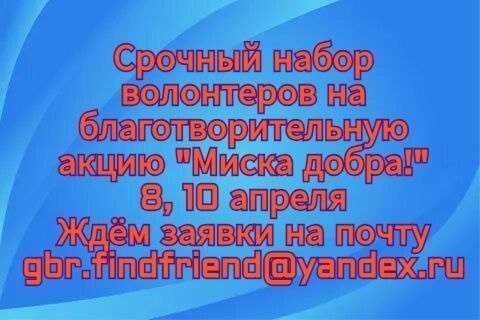 На Миску Добра в Глобал Молл на 8 и 10 апреля с 12 до 18 нужны кураторы с кошками и/или собаками для сбора кормов и пристройства питомцев