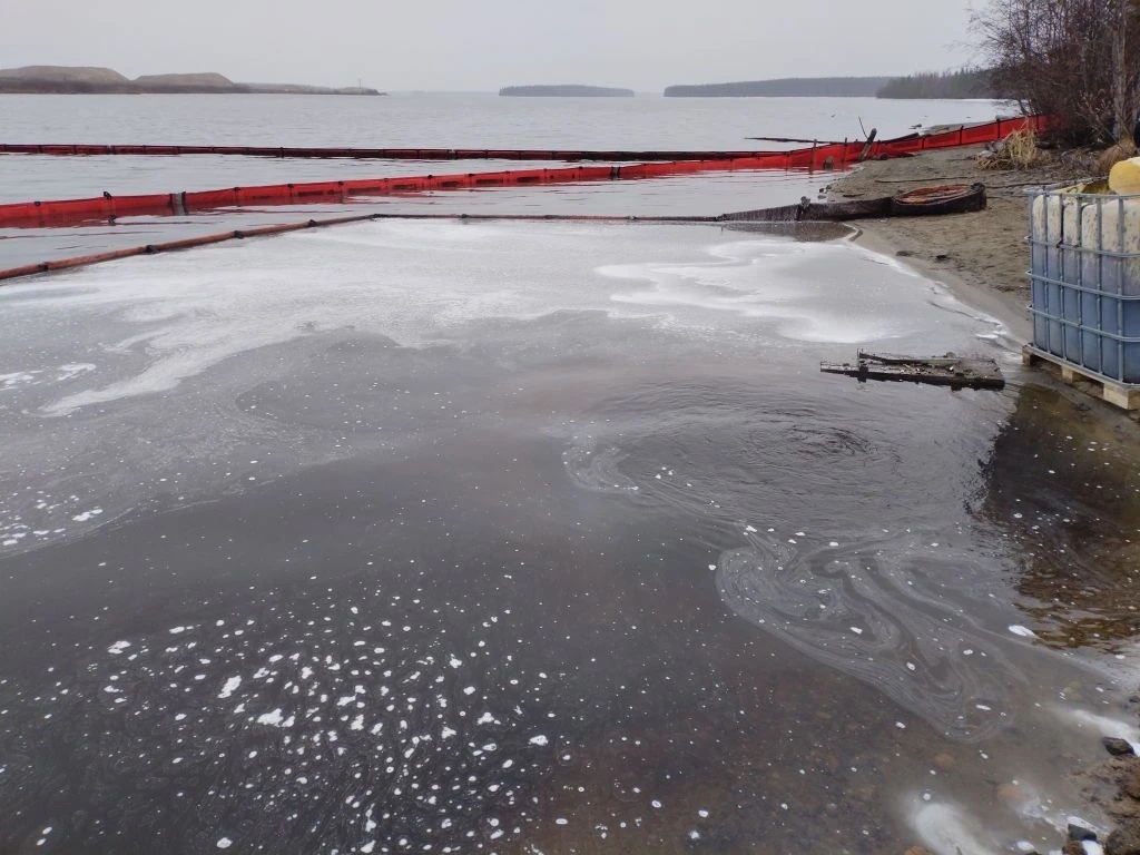    фото: © Минприроды РК