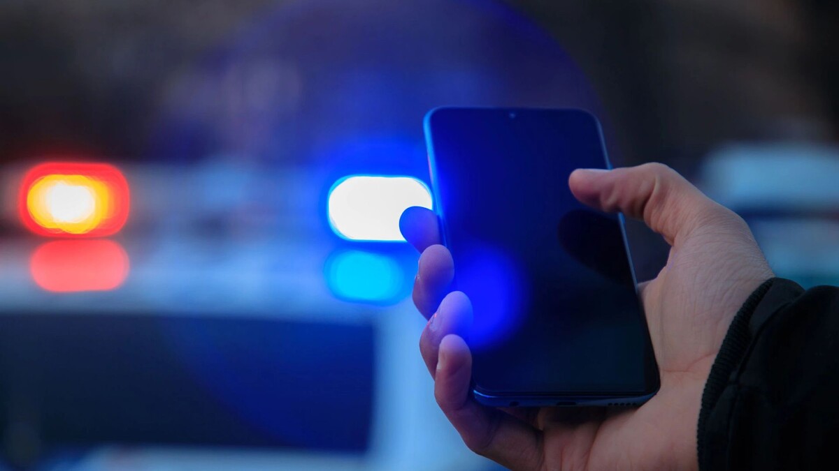    Фото: Daniel Tadevosyan / Shutterstock / Fotodom