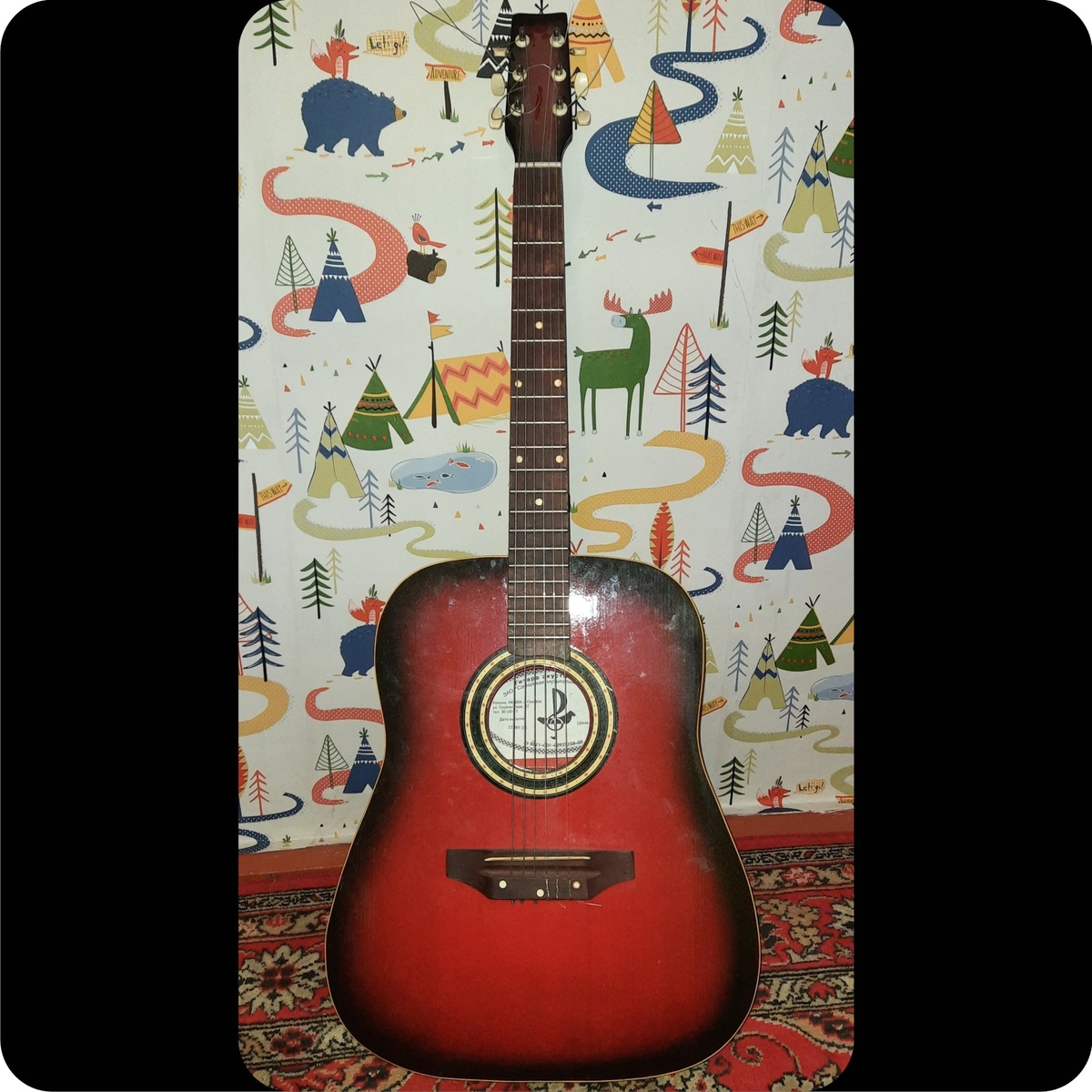 Гитара в добром здравии и на заслуженном отдыхе в шкафу.