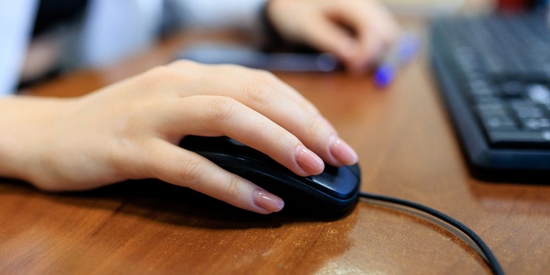 Латвия внесла в черный список сайты КубГУ и мэрии Анапы