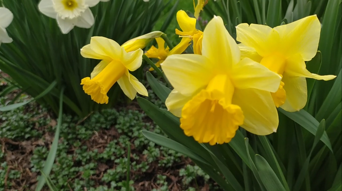 Фото автора.