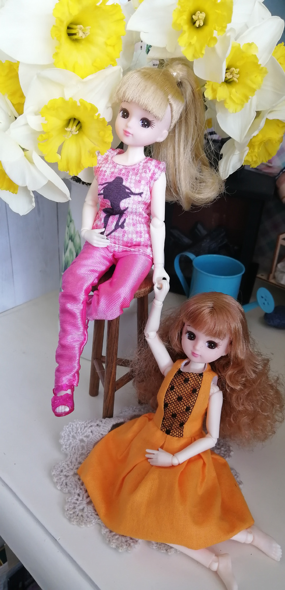 Ликка и Ликка😁