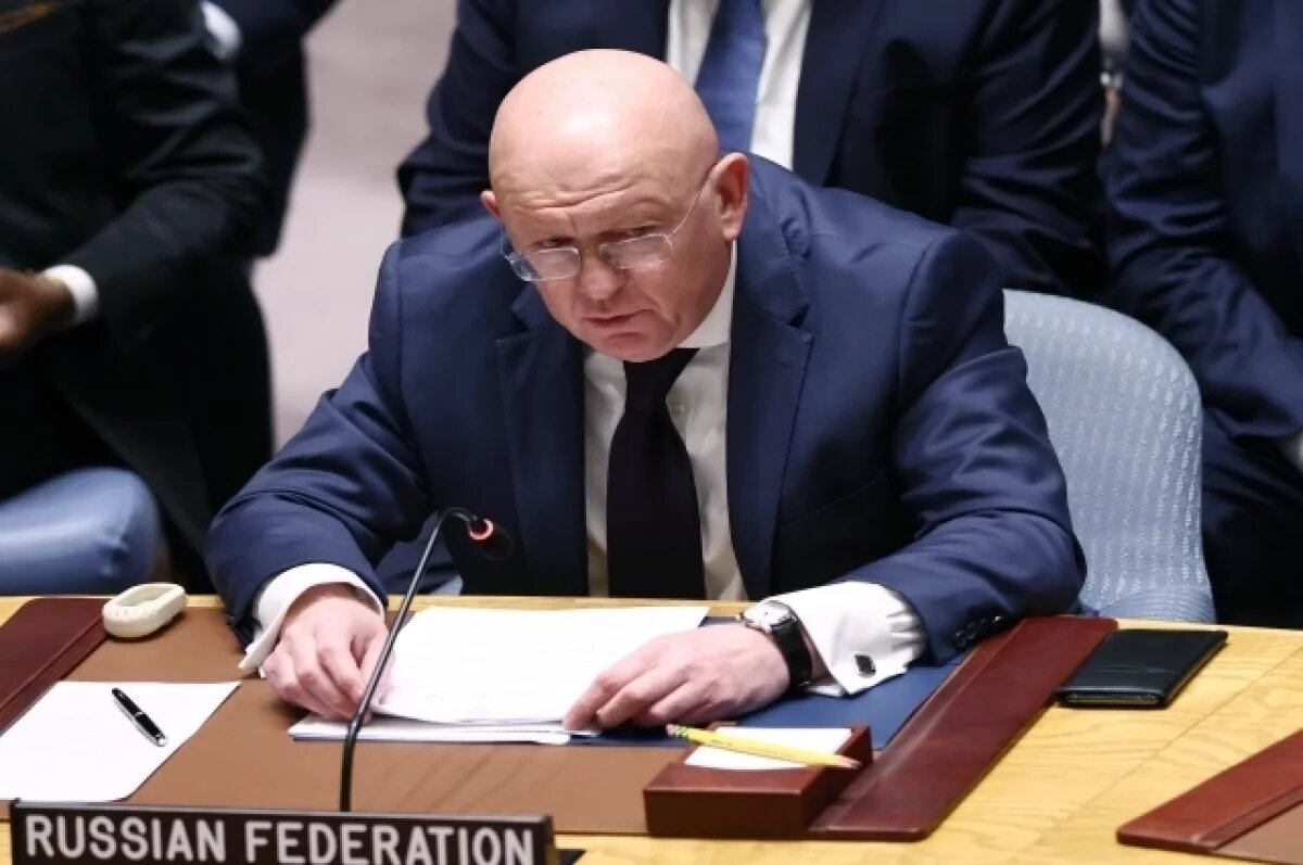    Небензя объяснил вето РФ на резолюцию по Ормузскому проливу