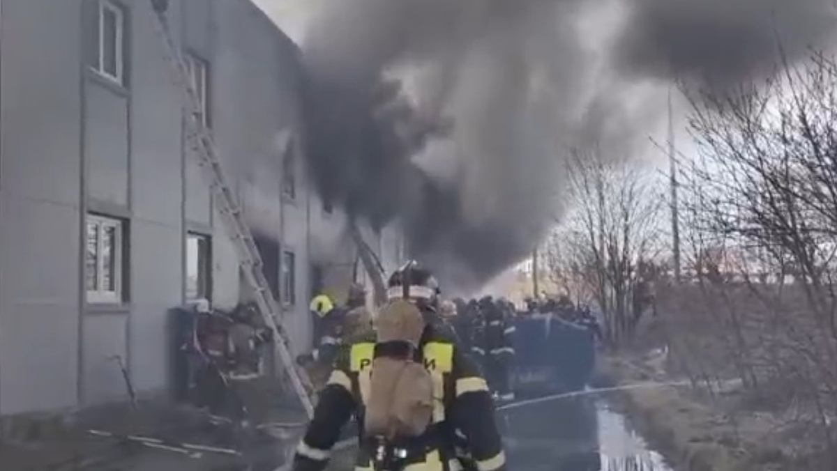    Соцсети / ГУ МЧС по Санкт-Петербургу