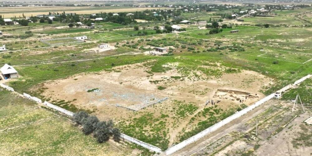 Фото: Habergo(Хаберго)