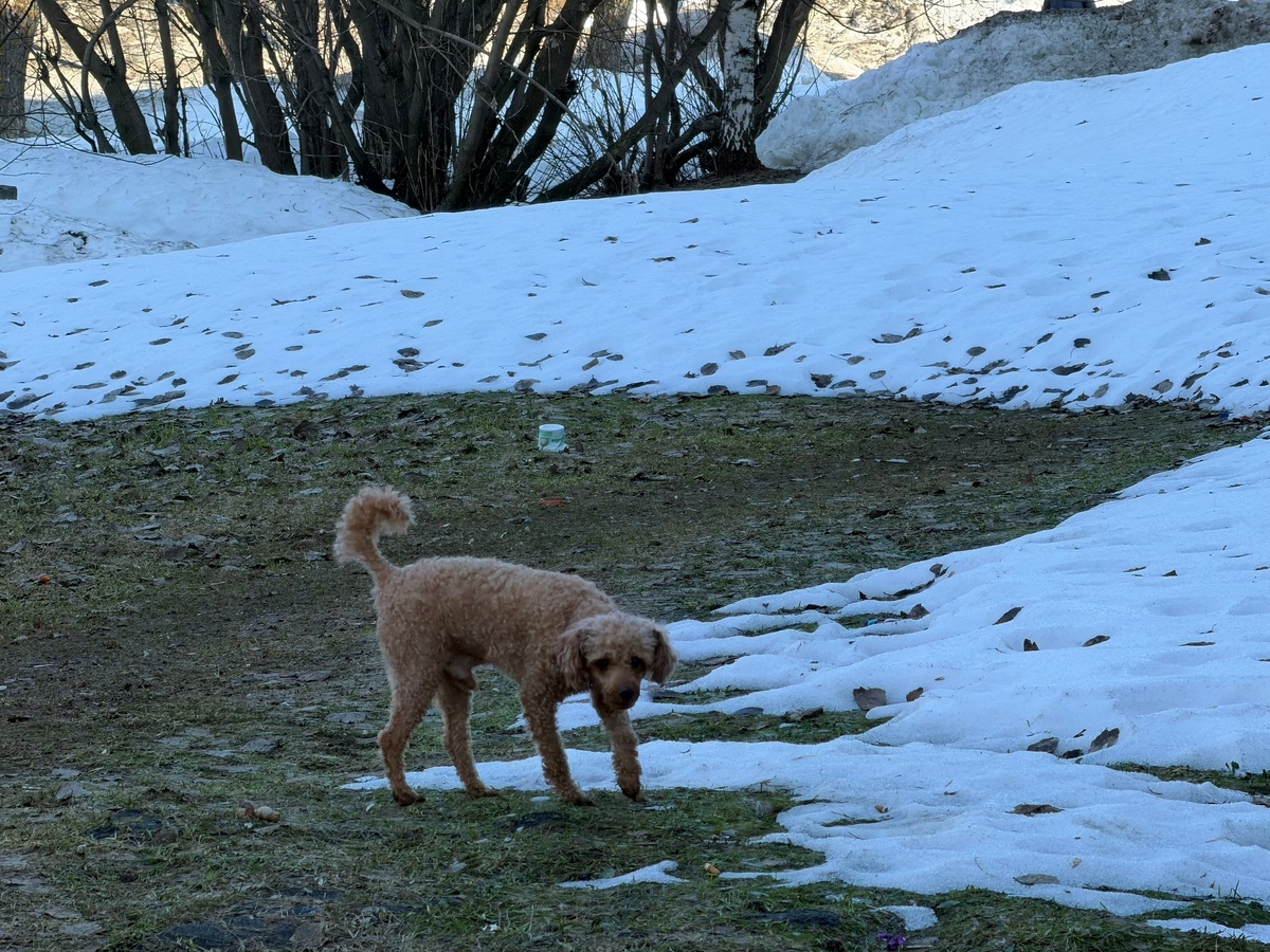    Редакция портала "Город Киров"