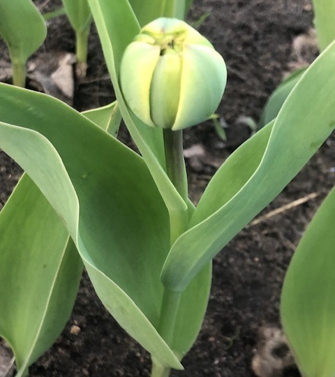 Поездка в Почепское и немного дел домашних.