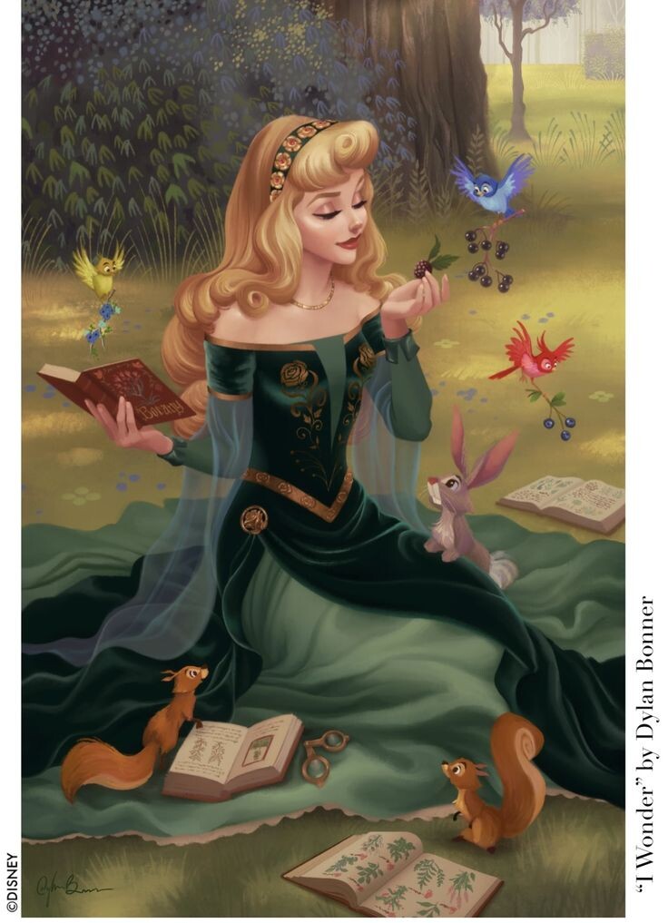 Духи леса и гримуар