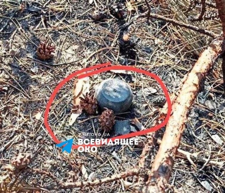 Установленная противопехотная мина "Пряник" в зоне СВО