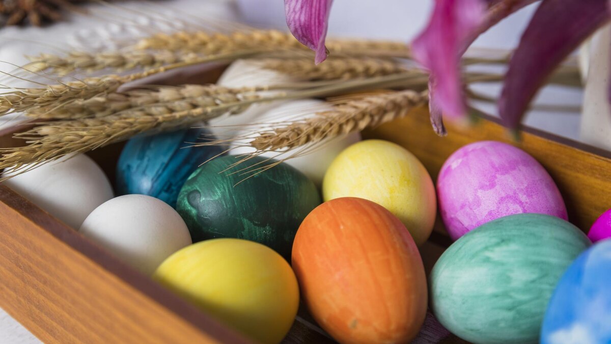 Фото: ru.freepik.com