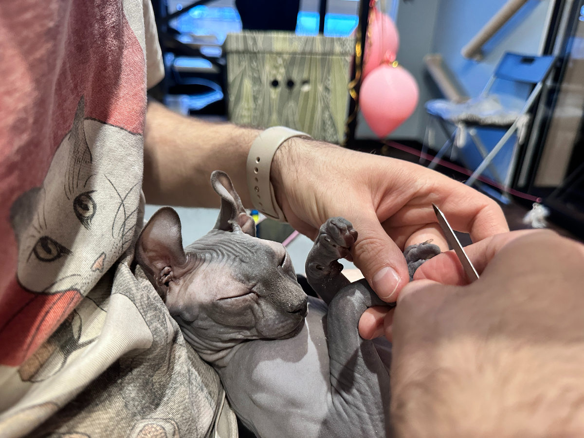 Обычно именно в такие моменты (уходовые процедуры) Эль вздыхает так, будто устала и утомилась 