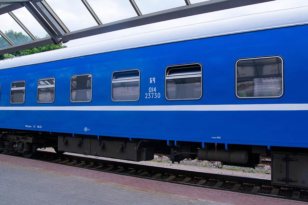    Фото: Alena Zharava / Shutterstock.com