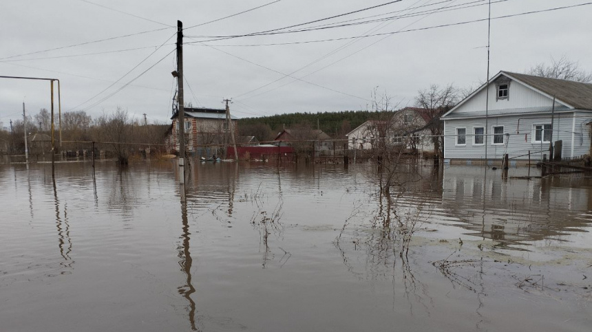    Фото: ИЗВЕСТИЯ; 5-tv.ru
