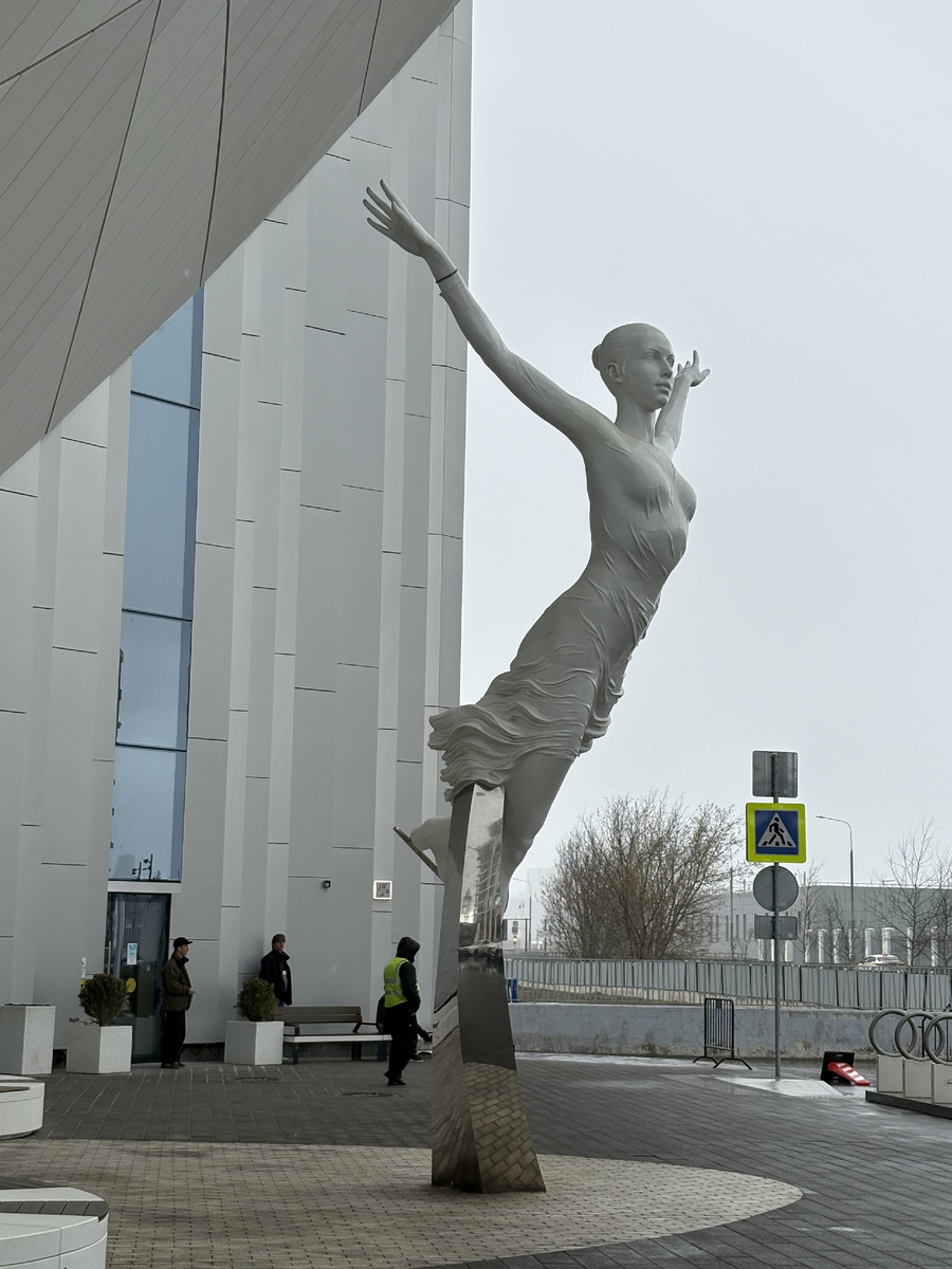 Спортивный комплекс "Навка Арена"