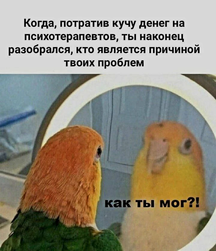 Источник фото найден на просторах Интернета в открытом доступе