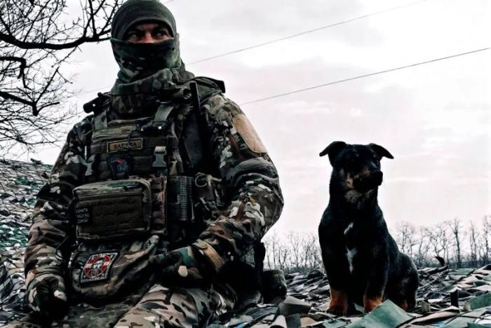 В зоне проведения СВО, источник сообщество Тристатридцатьтри в мессенджере МАХ