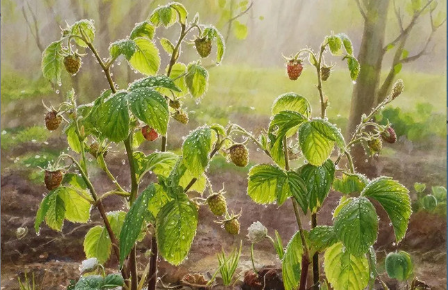 Малина (картина)