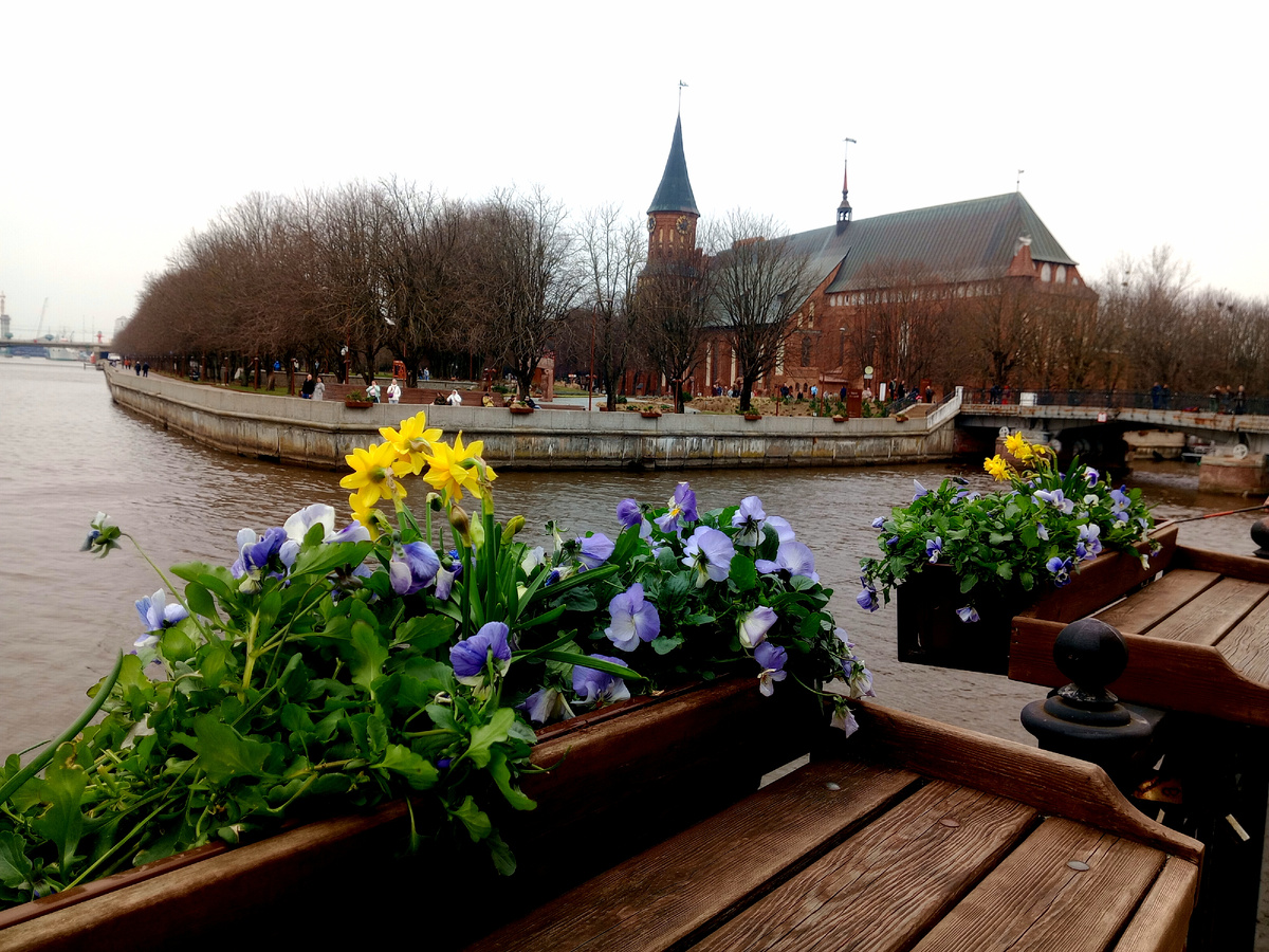 Весна пришла !