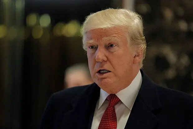    Источник: lenta.ru/ Полина Потапова