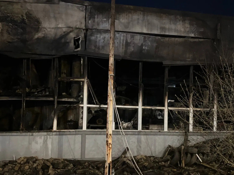     Фото: МК в Питере / Анна Глазырина