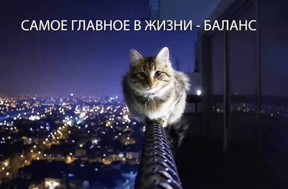 Источник: https://share.google/51e6DskmaJO8KHgPg