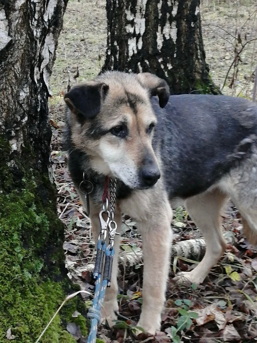Вы просто не всё про меня знаете, девочки
