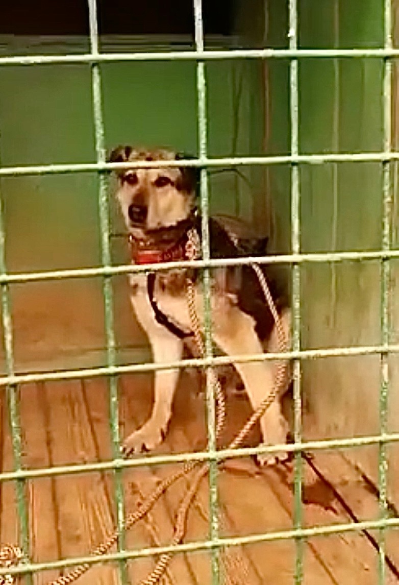 Не задерживаемся, проходим дальше, товарищи