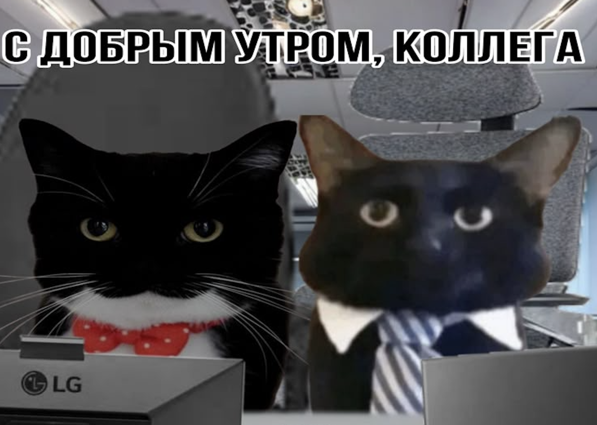 Источник: https://share.google/x5K5ipOL0VtgshEwN