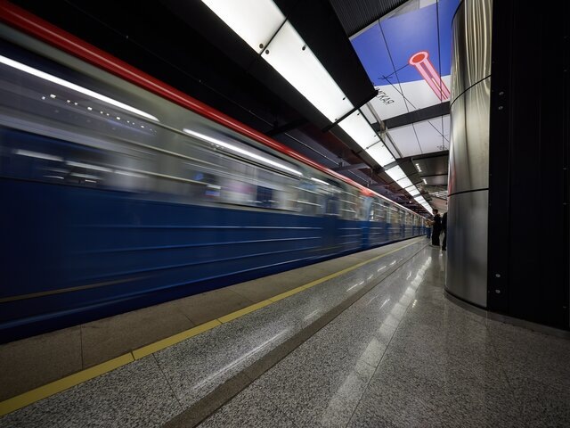    Фото: Москва 24/Максим Денисов