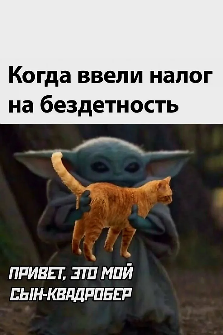 Источник фото - открытый доступ в интернете