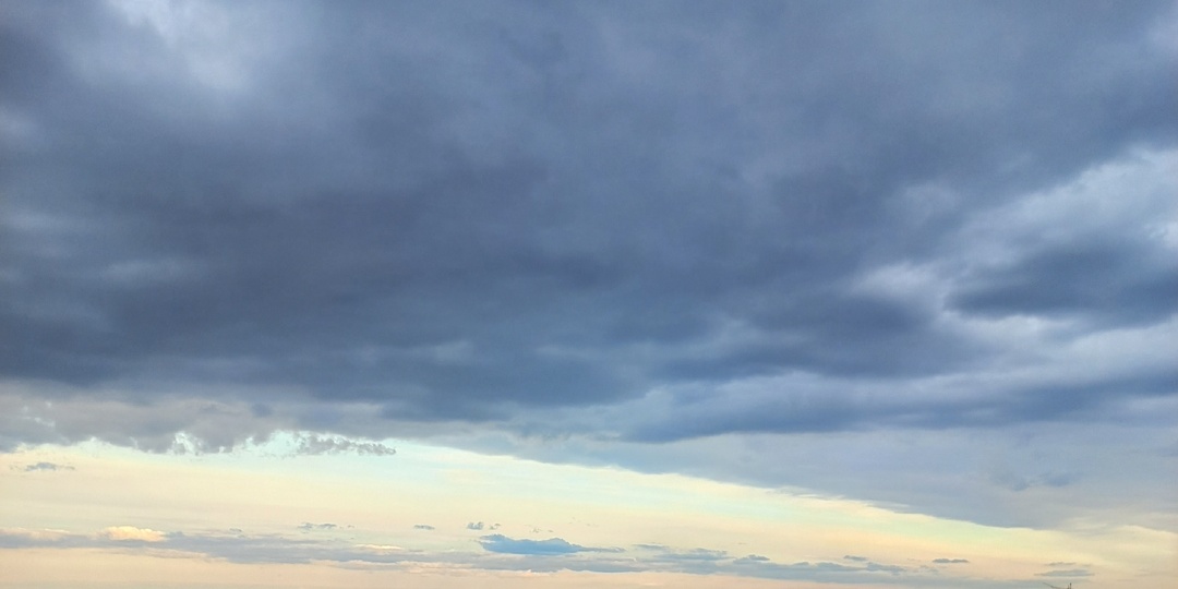 07.04.2026. Рассада в Ярославле, рассада в Берлине.