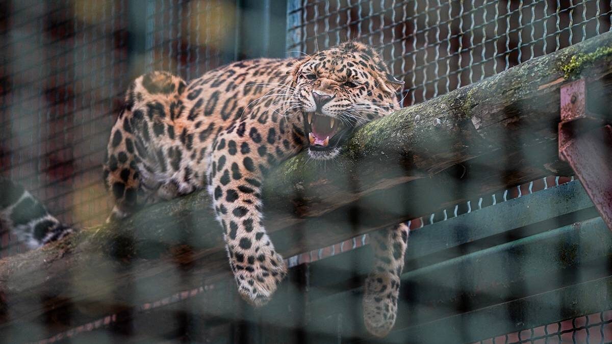    Фото: Анна Темнышова / Вечерняя Москва