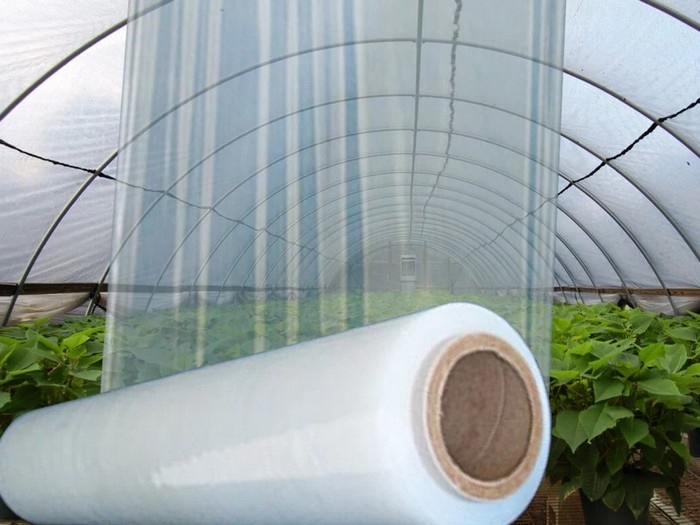 Как выбрать тепличную пленку