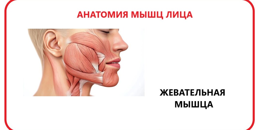 Лицо «плывёт» даже при идеальном уходе? Проверьте зубы