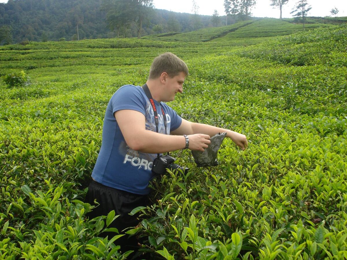 Александр Поляков и Александр Забугин на плантациях в Индонезии до появления компании в январе 2010 г.