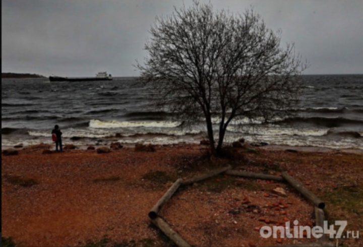 фото: Валентин Илюшин/Online47