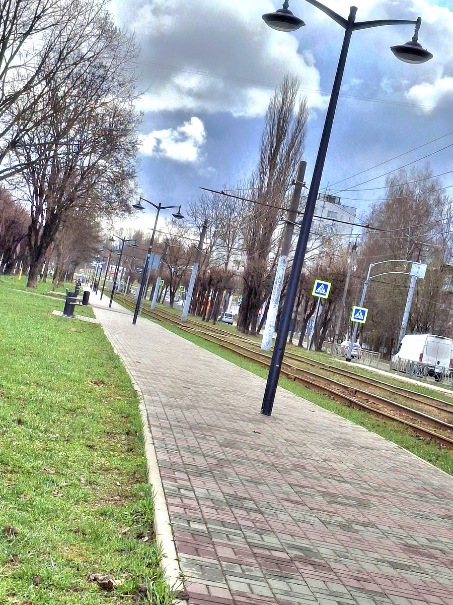 Фото сделано автором