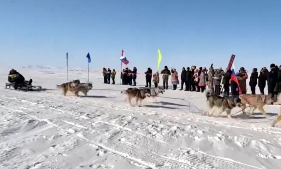 Гонку на собачьих упряжках "Надежда" выиграл инчоунский каюр Сергей Улькенашин