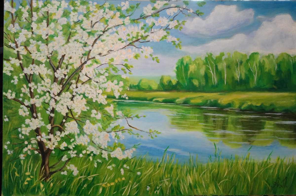 Картина «Цветущая вишня над рекой». Картон/масло. 25/38 см. 