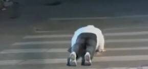    Источник фото: