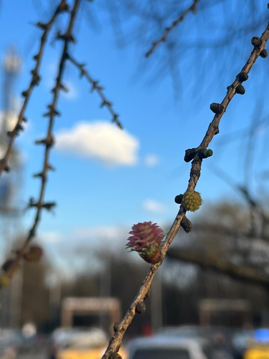 Фото автора для иллюстрации