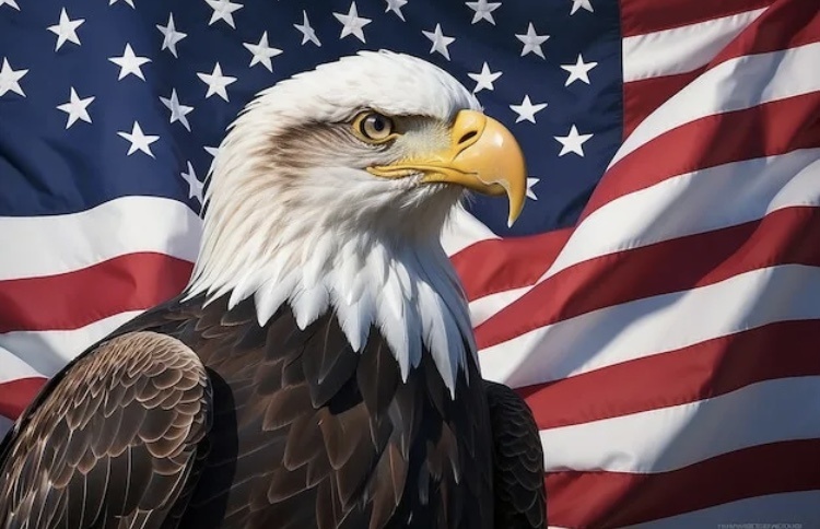 Из открытых источников 